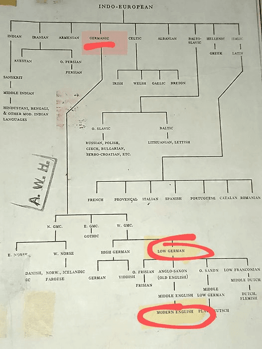 Image of the Indo-European Language Family Chart found in the Concise Edition Webster's New World Dictionary of the American Language 1969